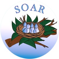 Director Board Of Directors