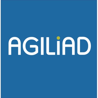 Senior Technical Lead
