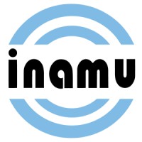 Auditor Interno Titular - Director de Auditoría Interna (CAE)