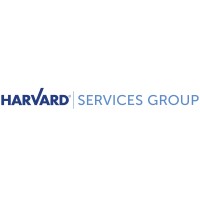 IT Project Manager