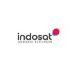 Investor Relations Manager
