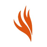 Fractional CMO / Business Guide / Mentor