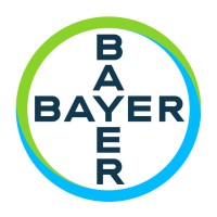 Bayer | SAP Programme Manager / Cutover / PMO Lead