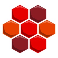 Software Developer