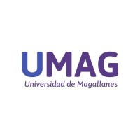 Asesor externo para la Vicerrectoría de Vinculación con el Medio