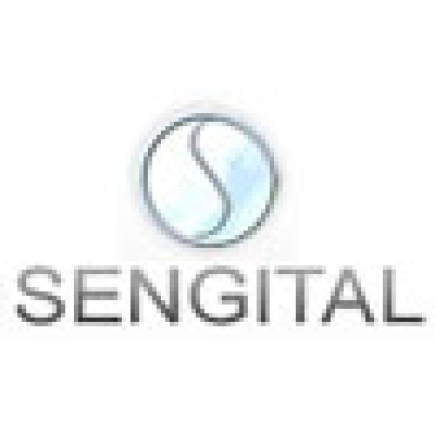 Software Engineer Intern (Automation & AI)
