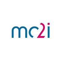 IT Project Manager | Consultant