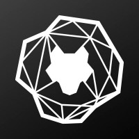 Technical Lead