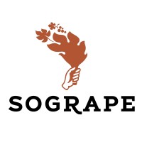 Area Manager Latam