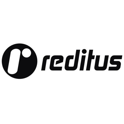 .NET Senior Consultant