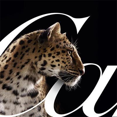 Sr. Brand Manager Luxury Brands