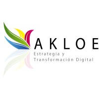 Consultor de Valor de Negocios