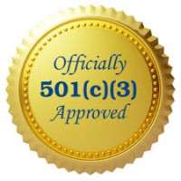 Non-Profit Manager