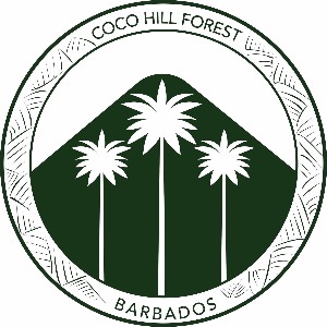 Head of Operations & Communications