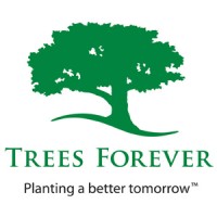 Director of Development
