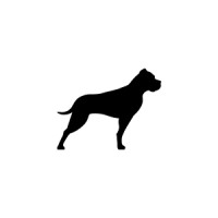 Senior ECM Advisor