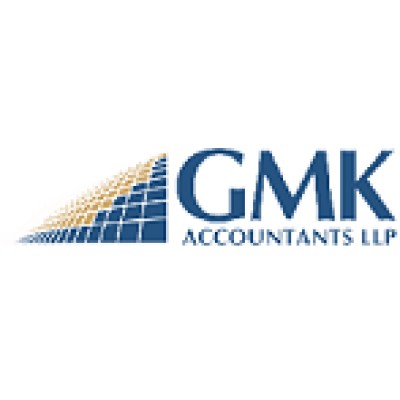 Senior information systems consultant
