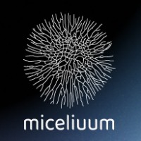 Co-Founder & Advisor