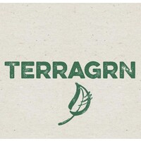 Head of Social and Digital Communications