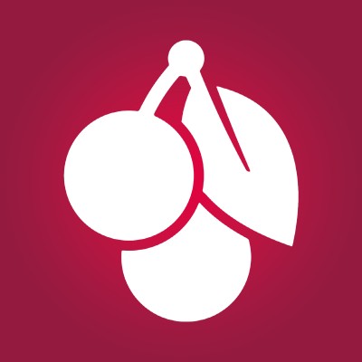 Team Lead - Electrical Engineering
