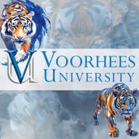 Assistant Professor Of Finance