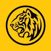 System Analyst