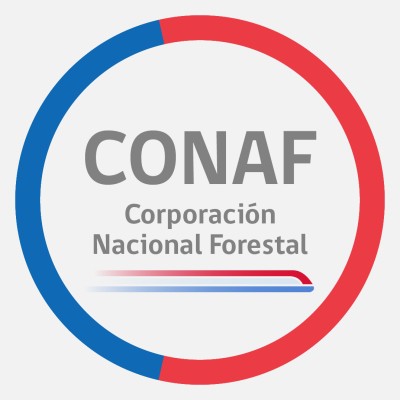 Encargada de Proyectos