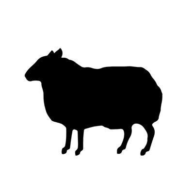 Head of Production (BBH / Blacksheep Studios)