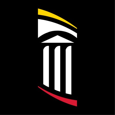 Technical Assistant Team Lead