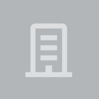Analytics Executive