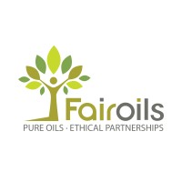 Chief Accountant