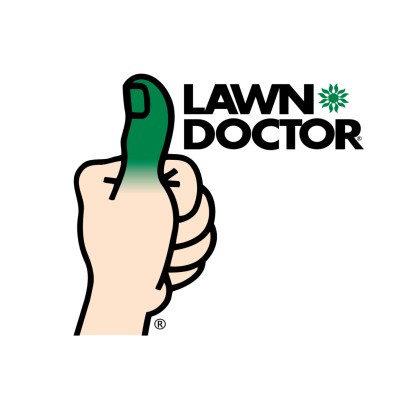Director of Training
