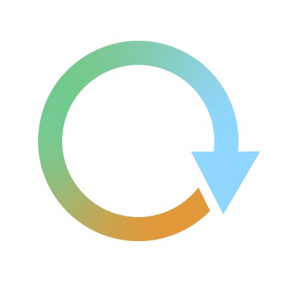 Technology Project Manager