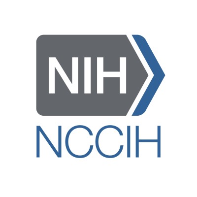 Information Technology Security Lead