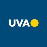 Professor / Tutor