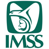 Titular de División en la Dirección Jurídica del IMSS