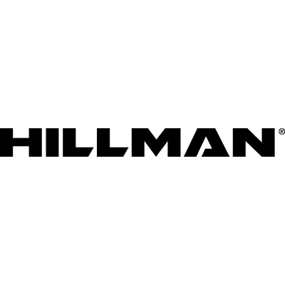 VP, Account Director