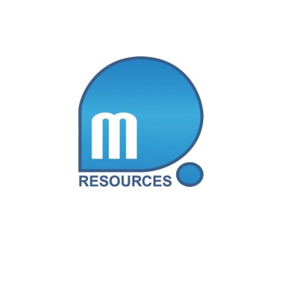 Technical Project Manager
