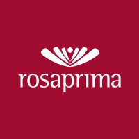 International Logistics Coordinator