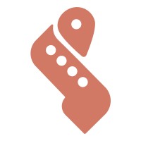 Chief Digital Officer (CDO)