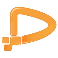 Business Project Manager