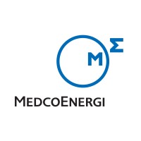 Analyst of Corporate Planning & Budgeting Management