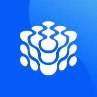 UX UI Designer / Entrepreneur