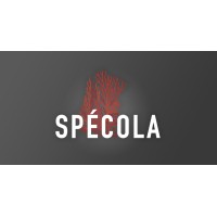 Productor audiovisual