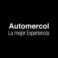 Director Comercial