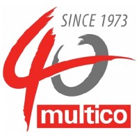Group PMO / Project Director
