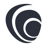 Audit Associate