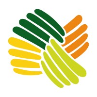 Jefatura de Medicamentos e Insumos