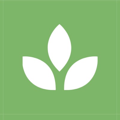 Analyst Fellow 