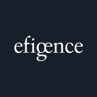 Senior Project Manager